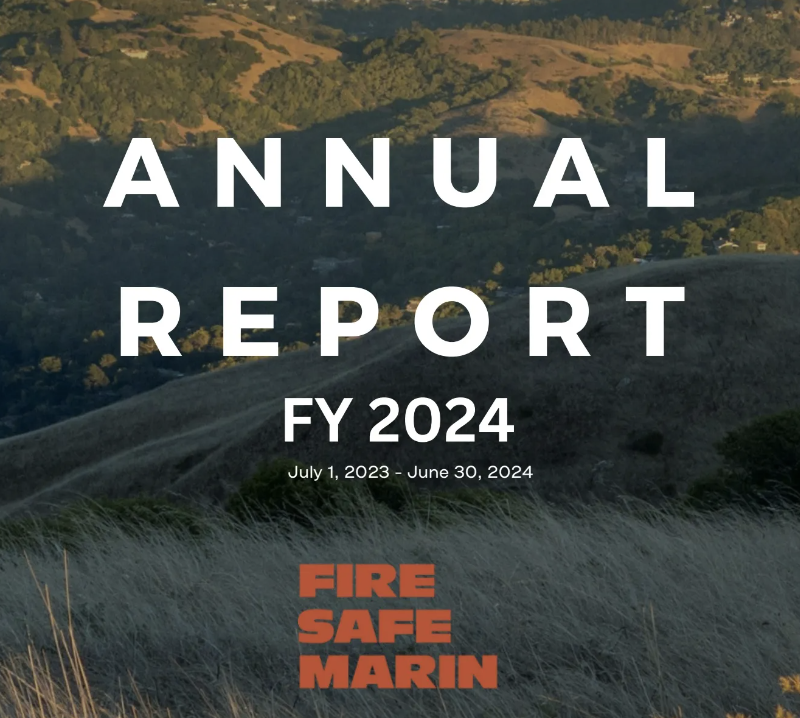 "Annual Report"